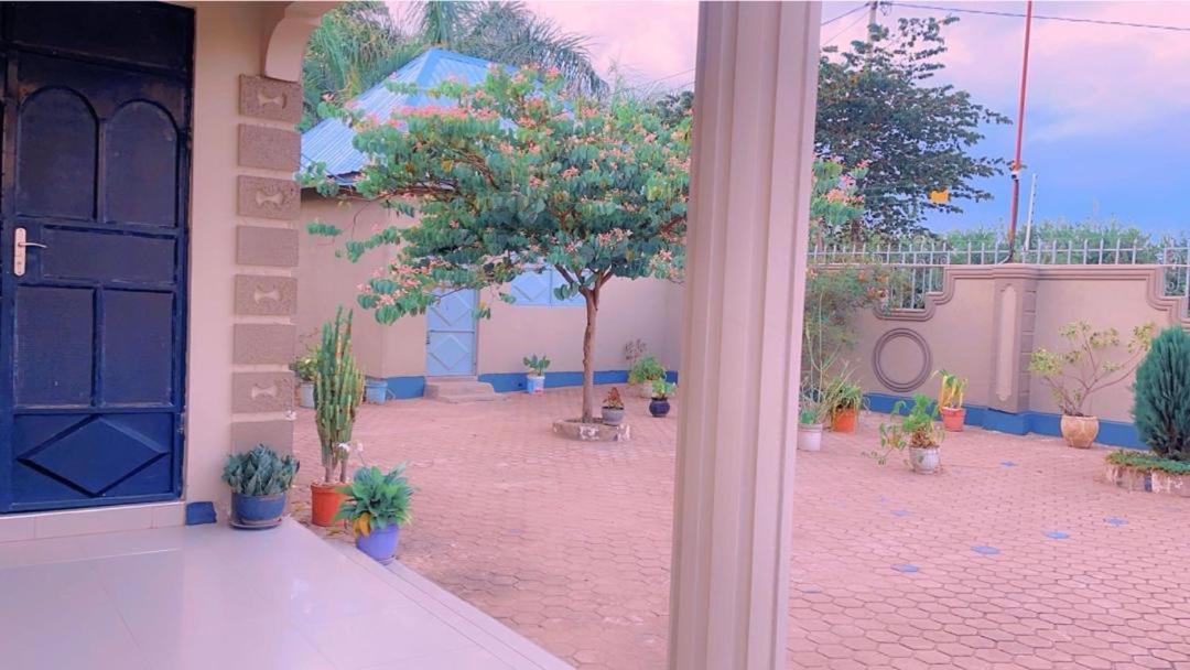 Ostello Evelina House Boma la Ngombe Esterno foto